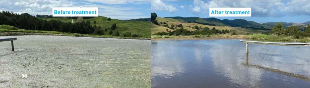 Before and after treatment by Effluex