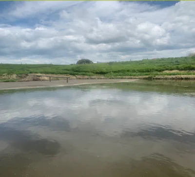 Effluent After Treatment