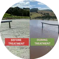 before-after-effluex-green